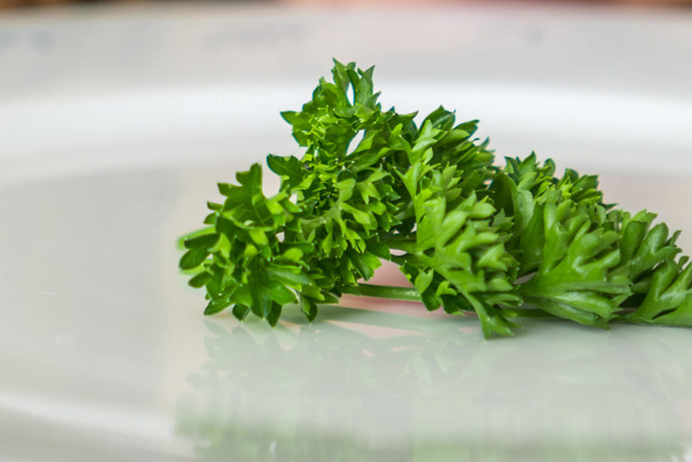 What Wage Garnishment Really Mean Spoiler Alert It s Not Parsley 