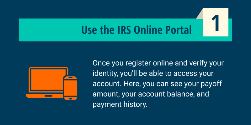 Use the IRS Online Portal 