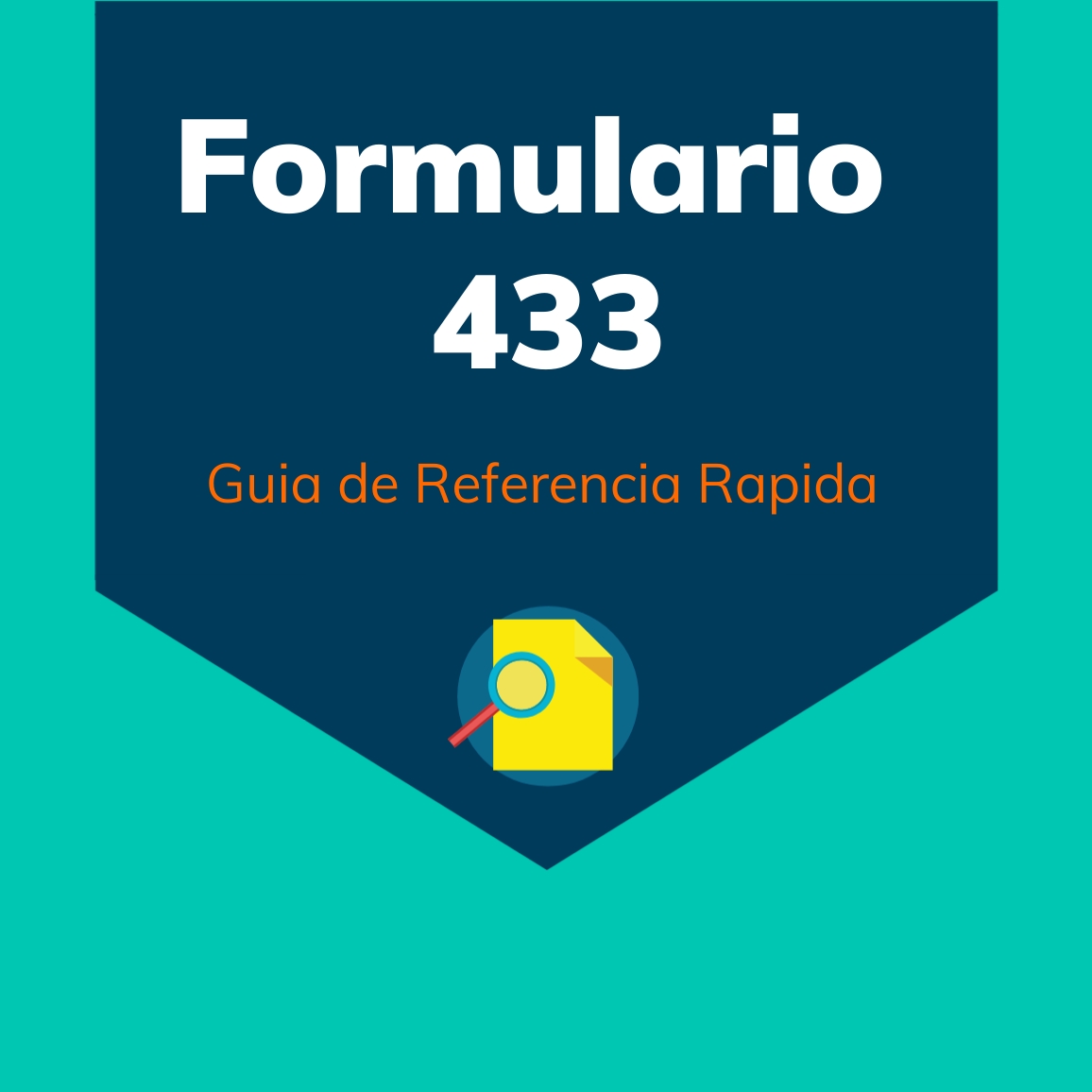 Formulario 433 Quick Reference Quide descargar pdf
