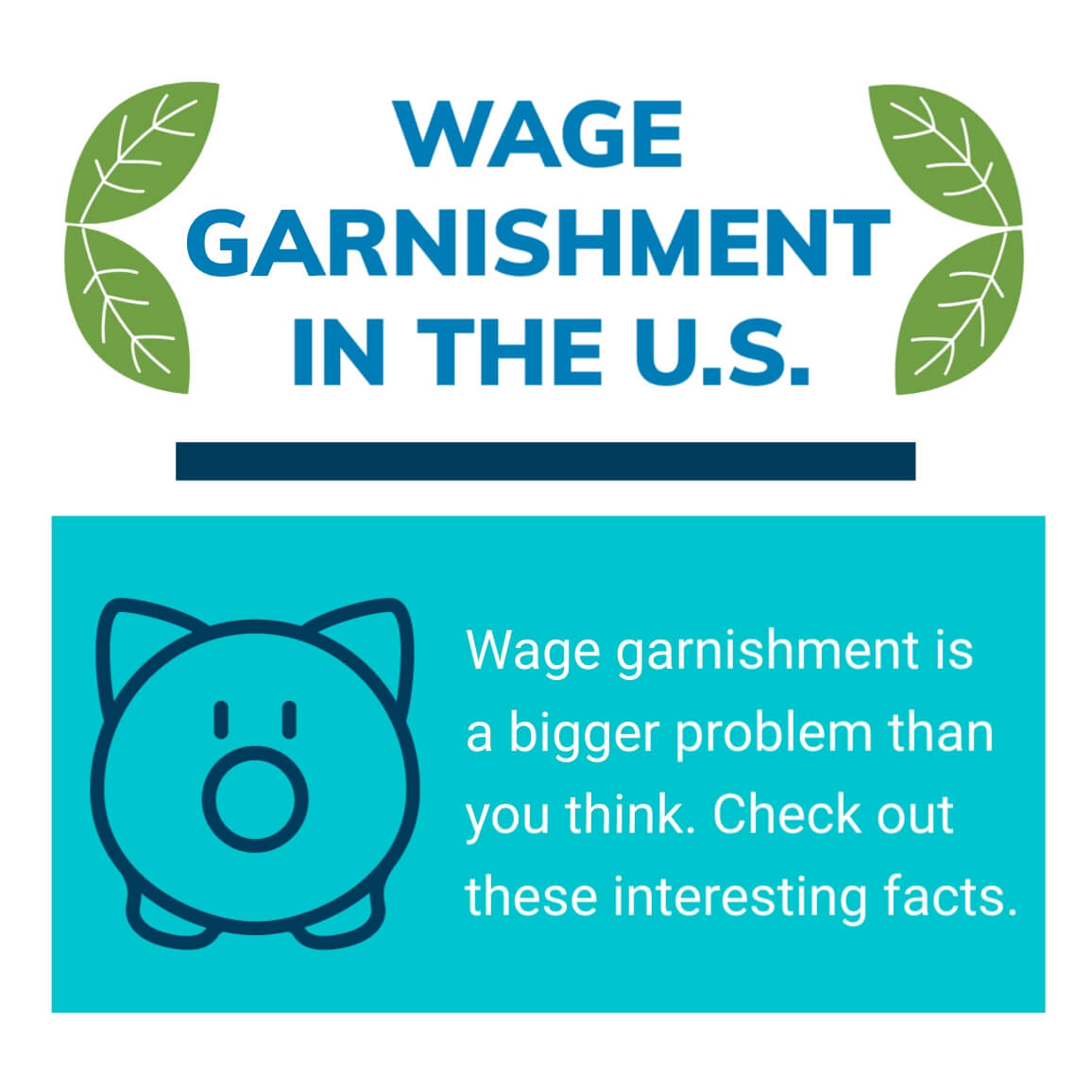 Wage-Garnishment-in-the-US pdf download