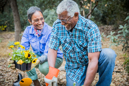 retirement distribution taxes