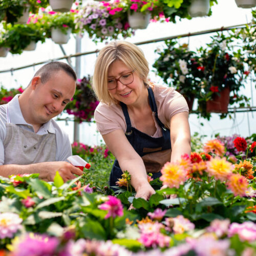 employer and employee working in a greenhouse