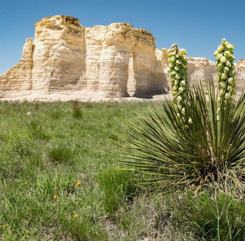 impuestos del estado de kansas - Monument Rocks