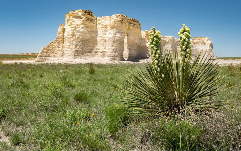 impuestos del estado de kansas - Monument Rocks