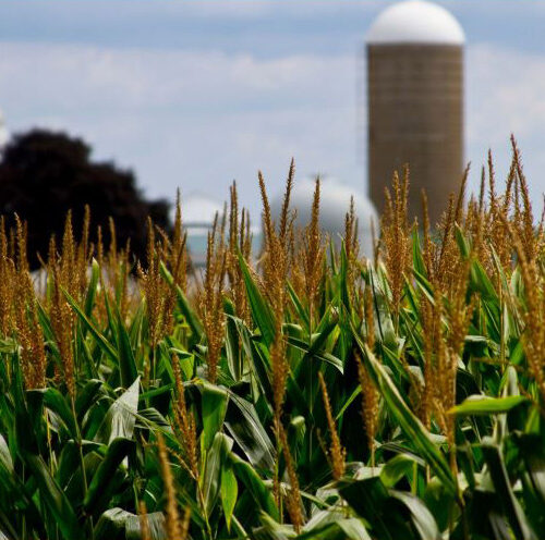 impuestos estatales de nebraska - granja