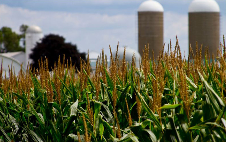 impuestos estatales de nebraska - granja