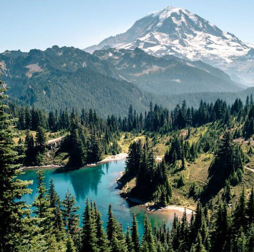 Washington state taxes - Rainier National Park