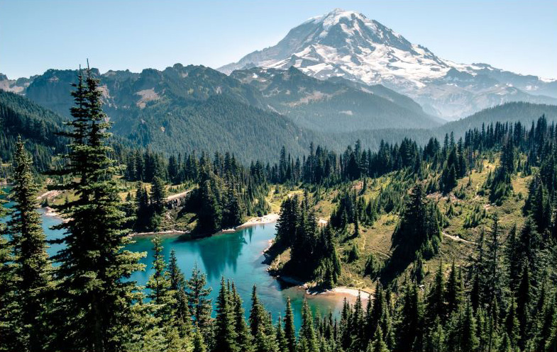 Washington state taxes - Rainier National Park