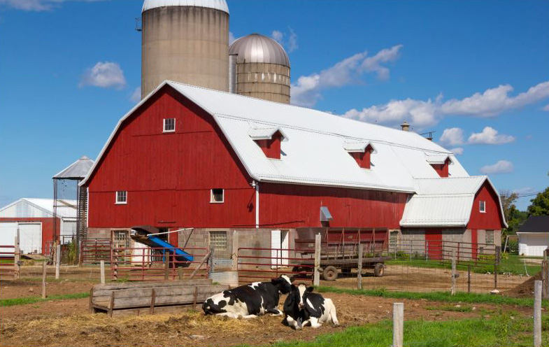 Impuestos estatales de Wisconsin - vacas por granero rojo
