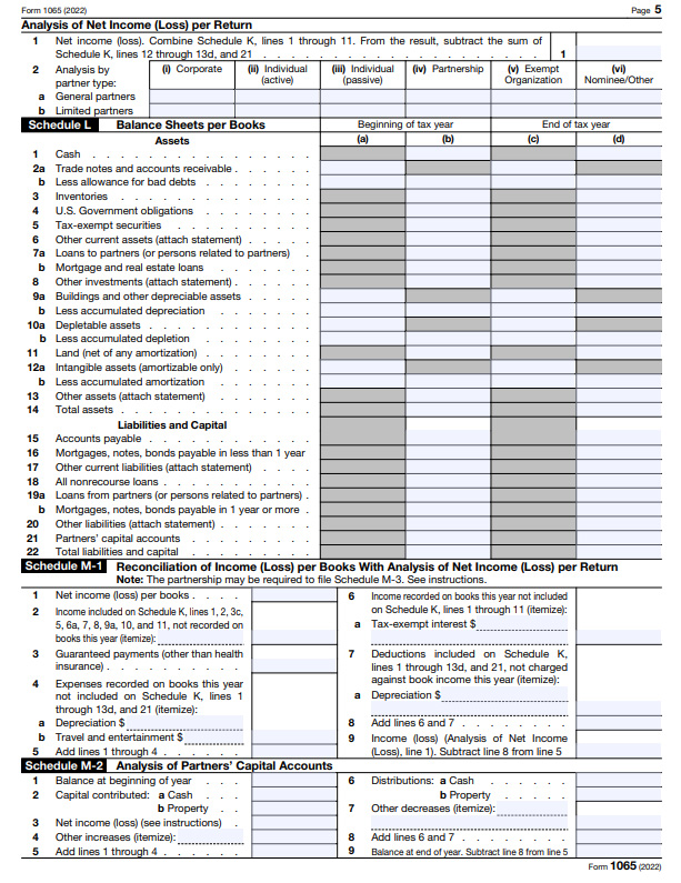 Form 1065 page five example