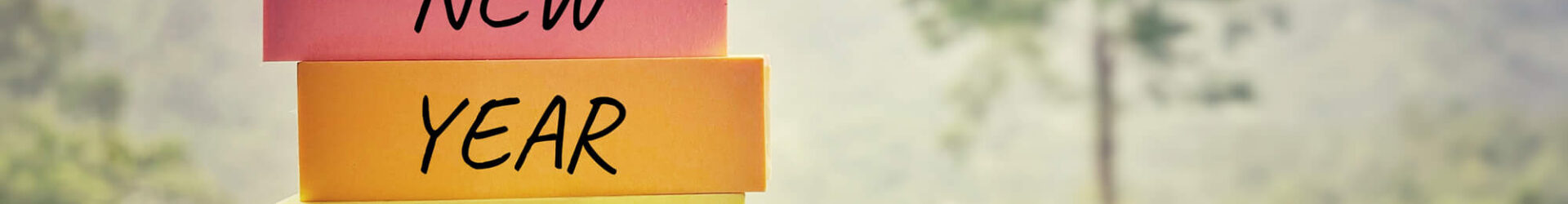 new year new fresh start program