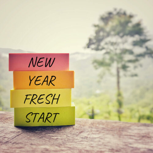 new year new fresh start program