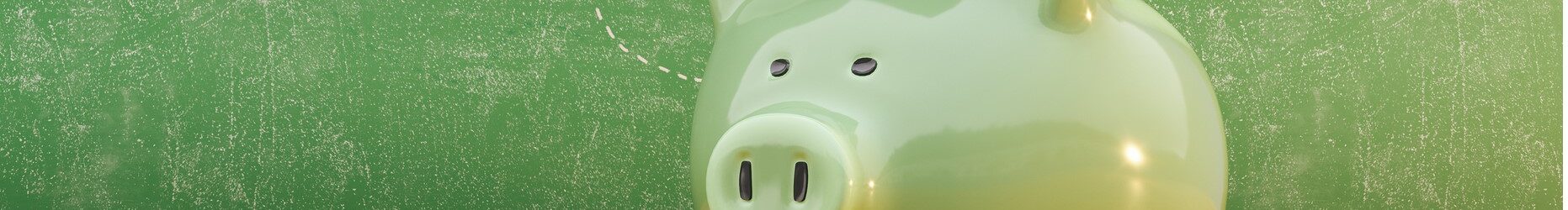 education freedom tax credit - scholarship pig