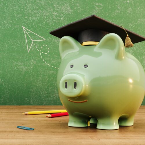 education freedom tax credit - scholarship pig